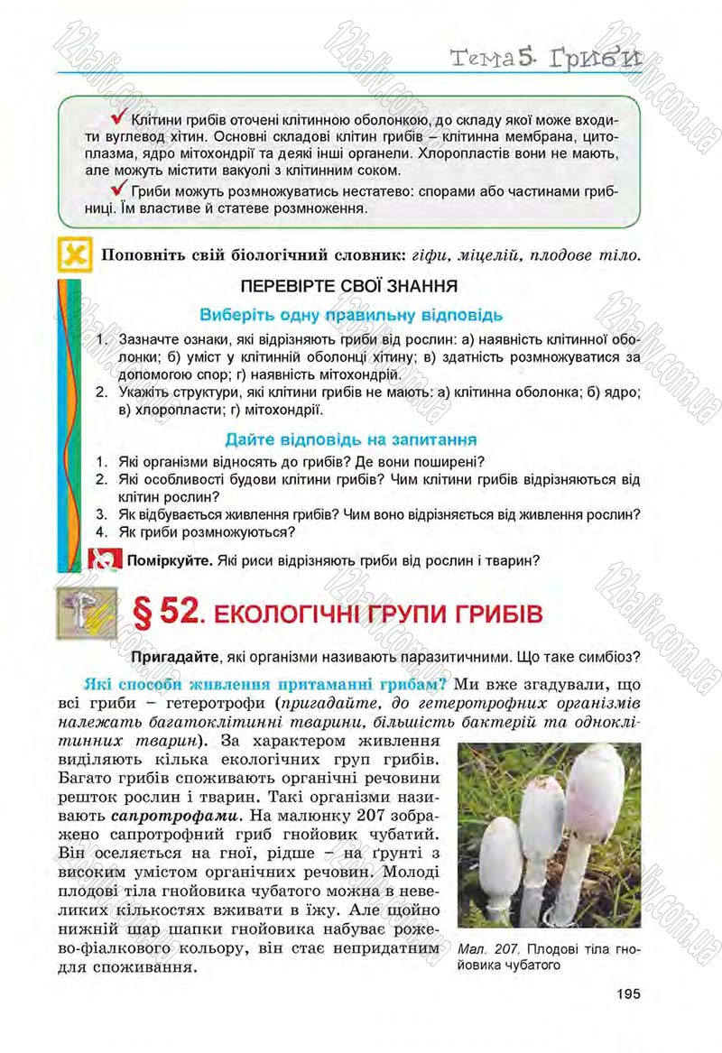 Сторінка 195 - Підручник Біологія 6 клас Л.І. Остапченко, П.Г. Балан, Н.Ю. Матяш 2014