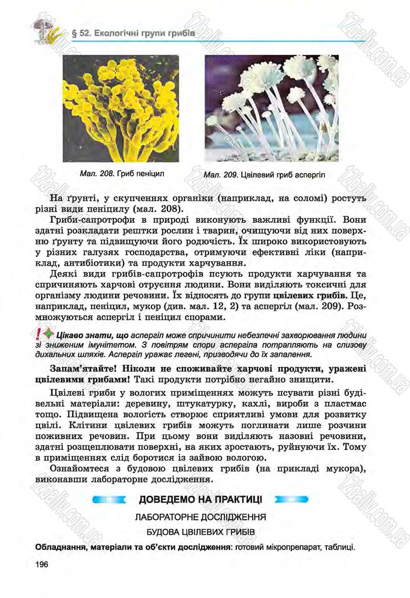 Сторінка 196 - Підручник Біологія 6 клас Л.І. Остапченко, П.Г. Балан, Н.Ю. Матяш 2014