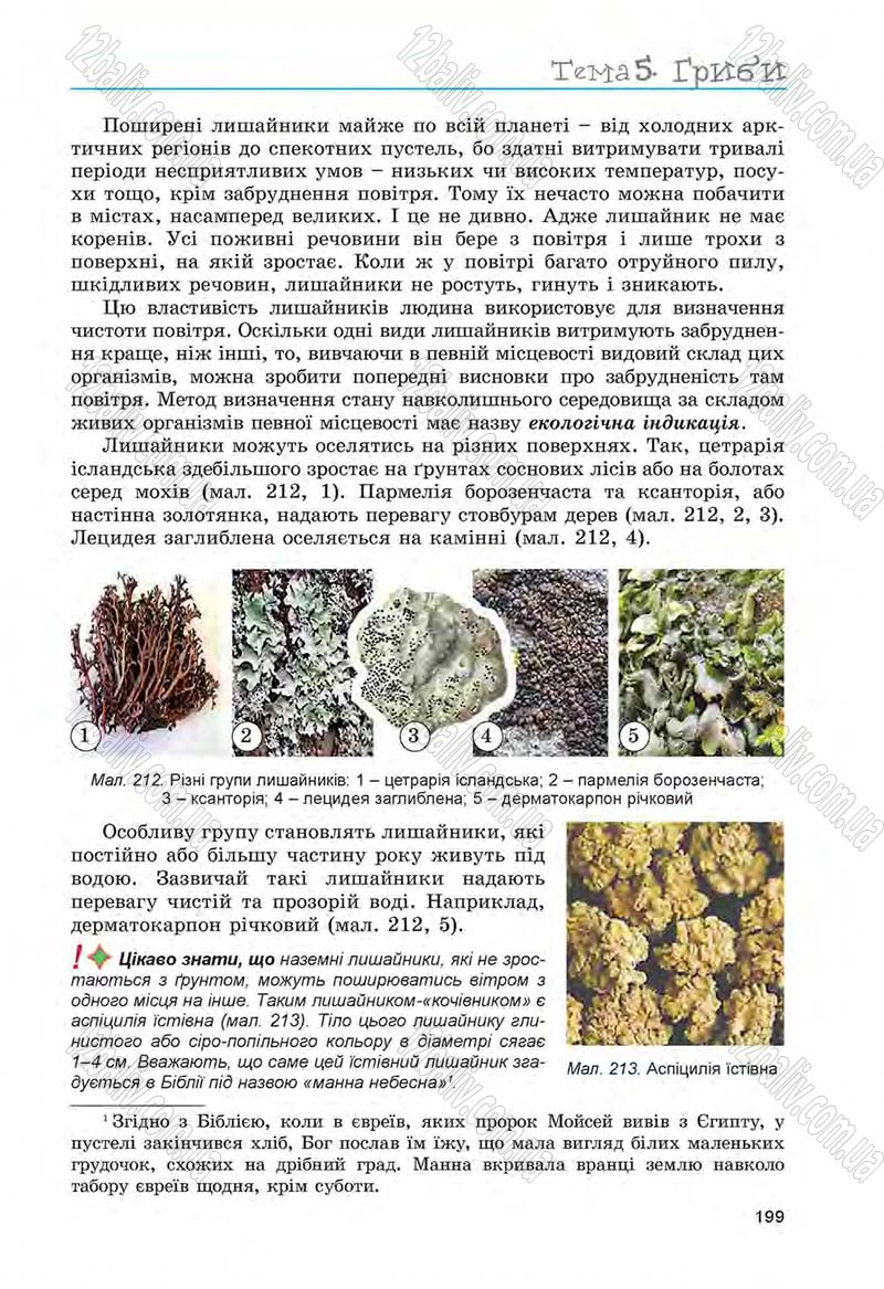 Сторінка 199 - Підручник Біологія 6 клас Л.І. Остапченко, П.Г. Балан, Н.Ю. Матяш 2014