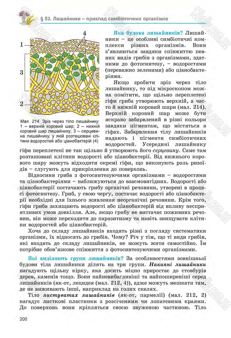 Сторінка 200 - Підручник Біологія 6 клас Л.І. Остапченко, П.Г. Балан, Н.Ю. Матяш 2014