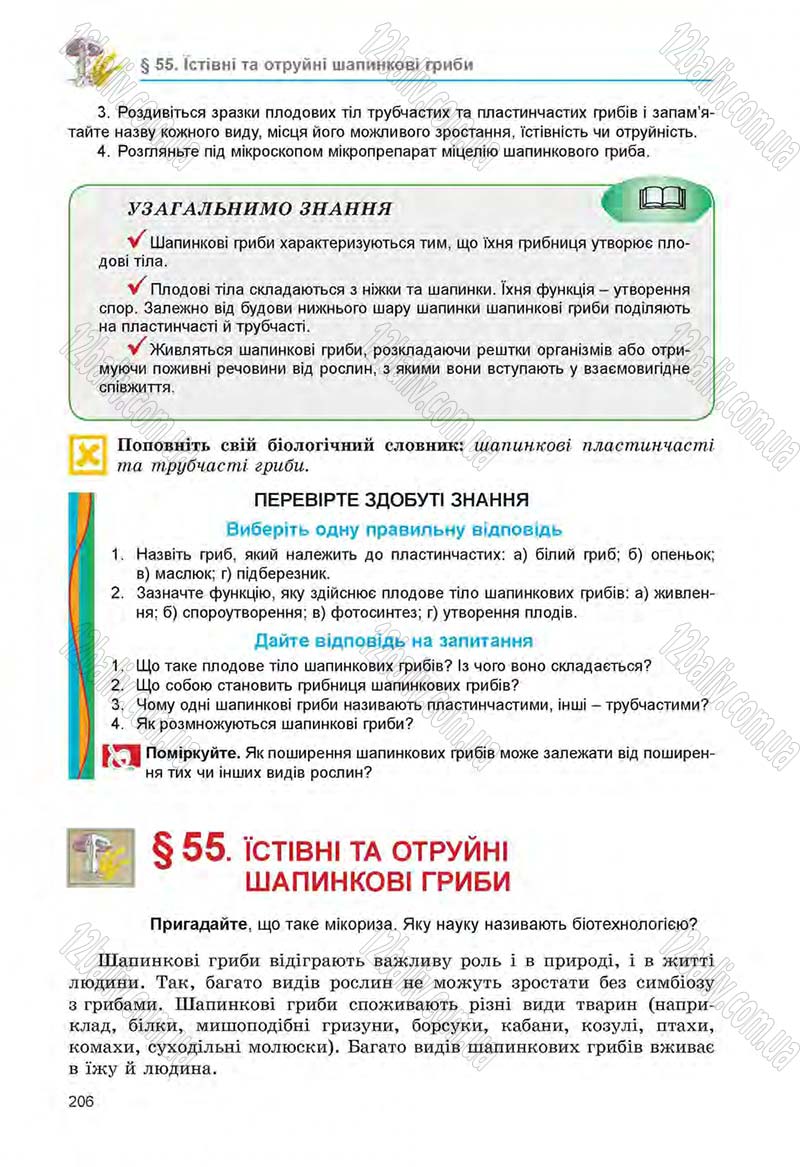 Сторінка 206 - Підручник Біологія 6 клас Л.І. Остапченко, П.Г. Балан, Н.Ю. Матяш 2014