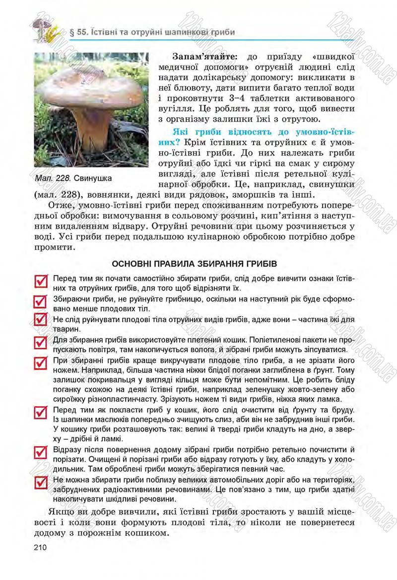 Сторінка 210 - Підручник Біологія 6 клас Л.І. Остапченко, П.Г. Балан, Н.Ю. Матяш 2014
