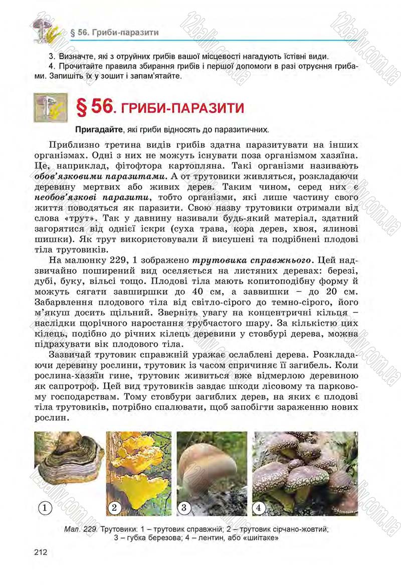 Сторінка 212 - Підручник Біологія 6 клас Л.І. Остапченко, П.Г. Балан, Н.Ю. Матяш 2014