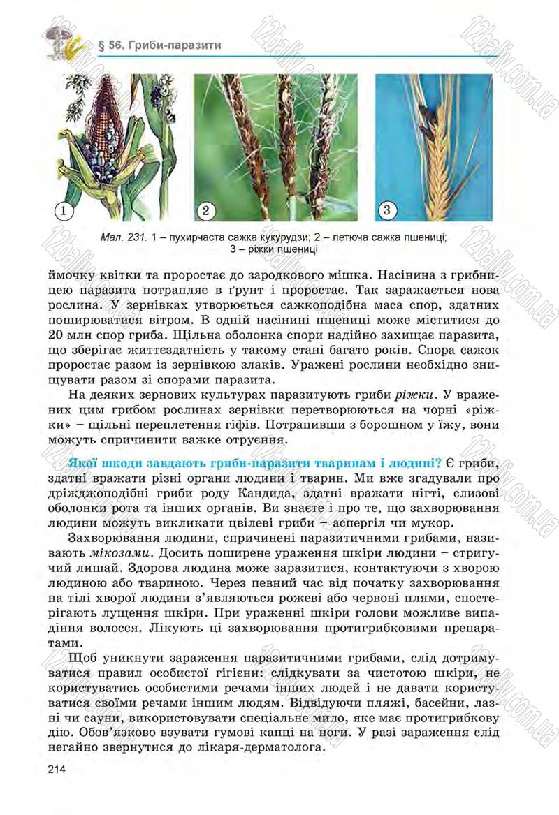 Сторінка 214 - Підручник Біологія 6 клас Л.І. Остапченко, П.Г. Балан, Н.Ю. Матяш 2014