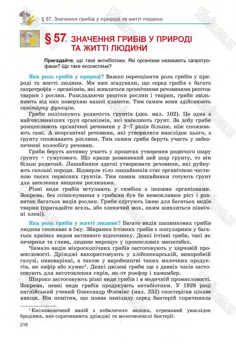Сторінка 216 - Підручник Біологія 6 клас Л.І. Остапченко, П.Г. Балан, Н.Ю. Матяш 2014