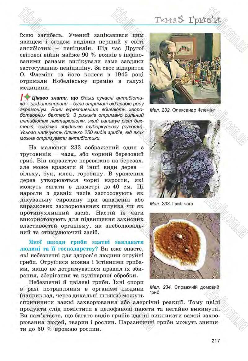 Сторінка 217 - Підручник Біологія 6 клас Л.І. Остапченко, П.Г. Балан, Н.Ю. Матяш 2014