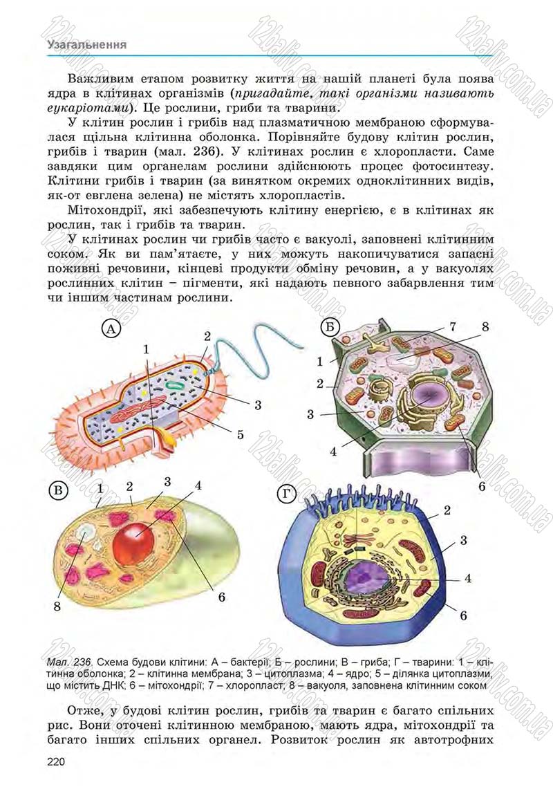 Сторінка 220 - Підручник Біологія 6 клас Л.І. Остапченко, П.Г. Балан, Н.Ю. Матяш 2014