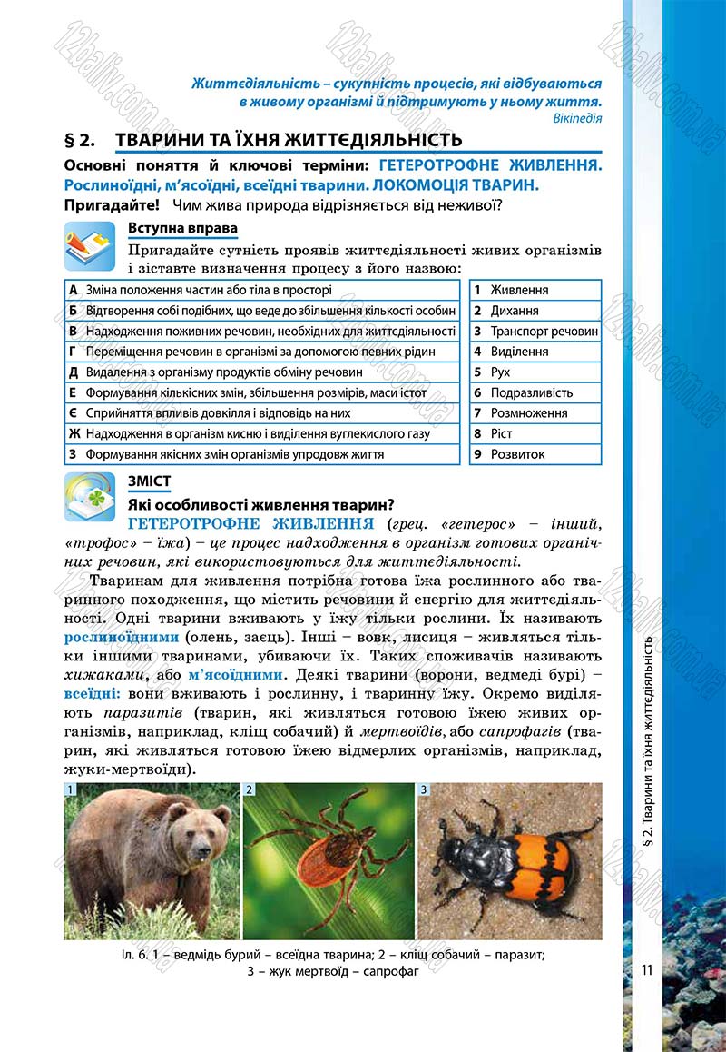 Сторінка 11 - Підручник Біологія 7 клас В.І. Соболь 2015
