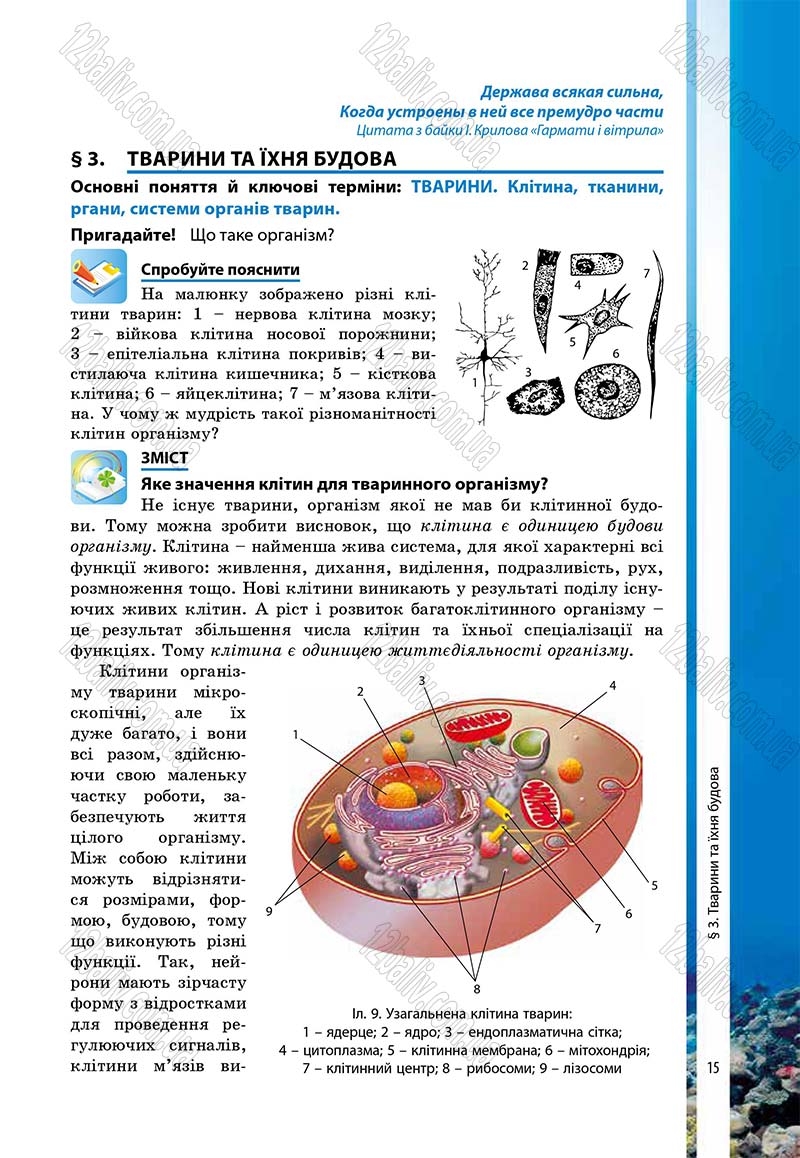 Сторінка 15 - Підручник Біологія 7 клас В.І. Соболь 2015