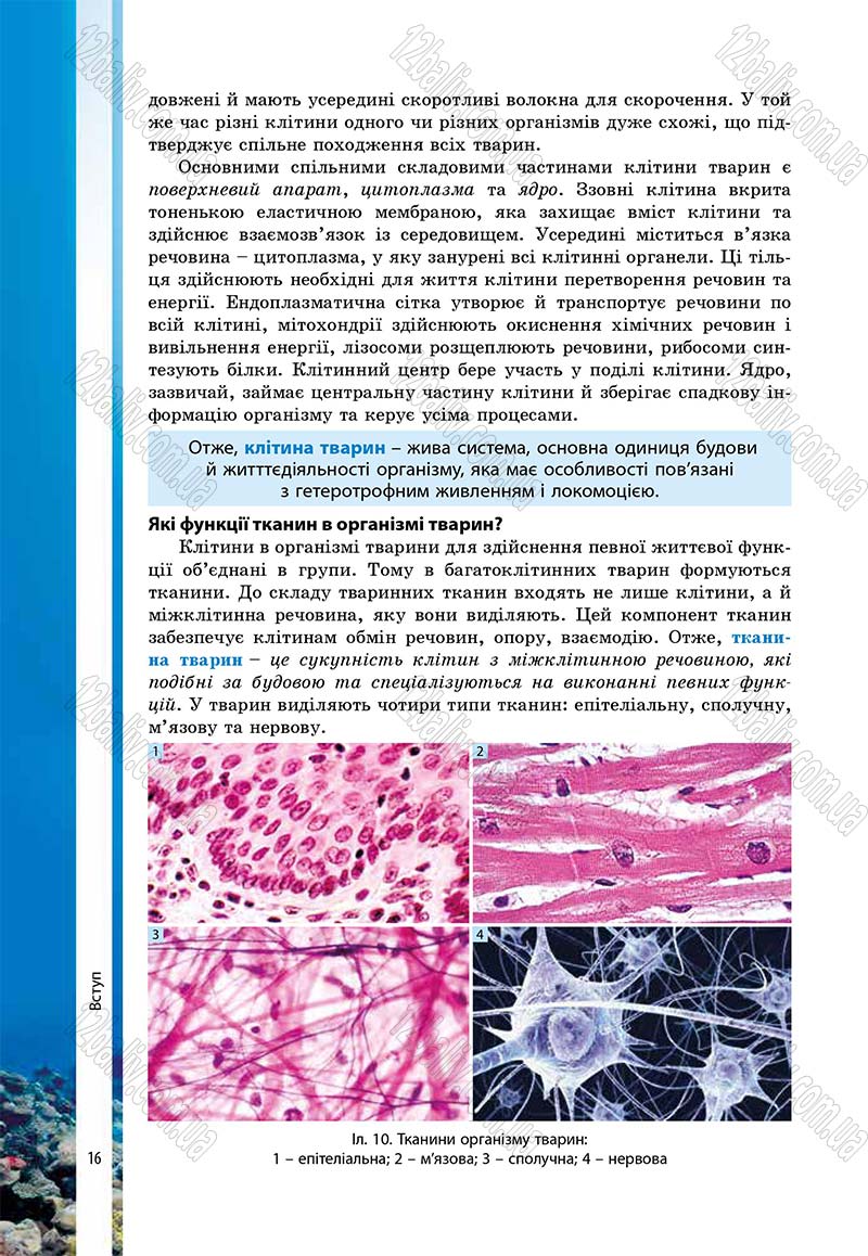 Сторінка 16 - Підручник Біологія 7 клас В.І. Соболь 2015