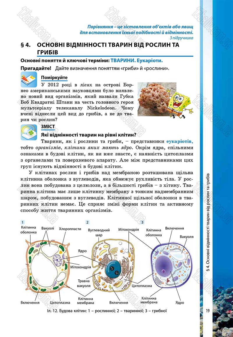 Сторінка 19 - Підручник Біологія 7 клас В.І. Соболь 2015