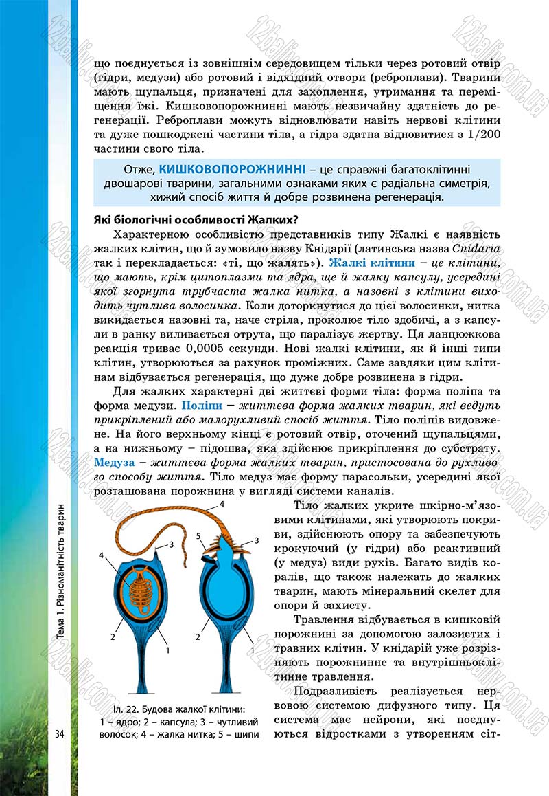 Сторінка 34 - Підручник Біологія 7 клас В.І. Соболь 2015