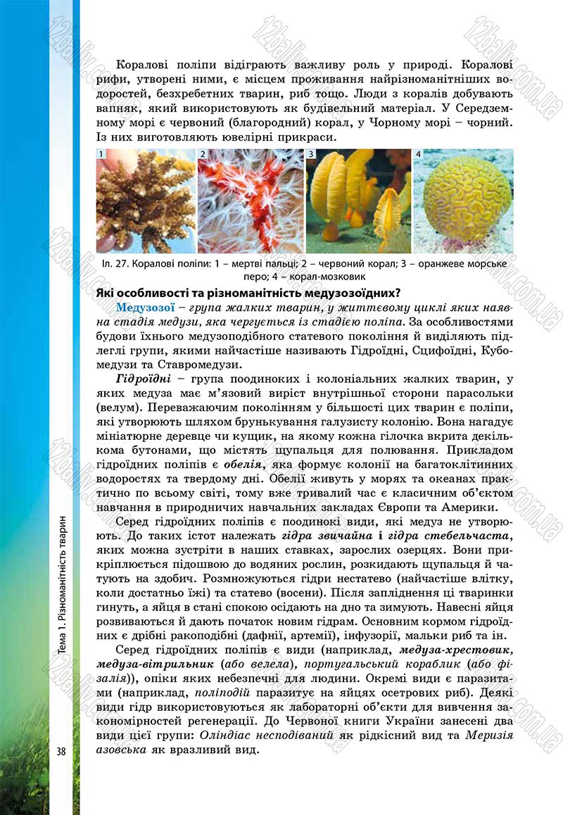 Сторінка 38 - Підручник Біологія 7 клас В.І. Соболь 2015