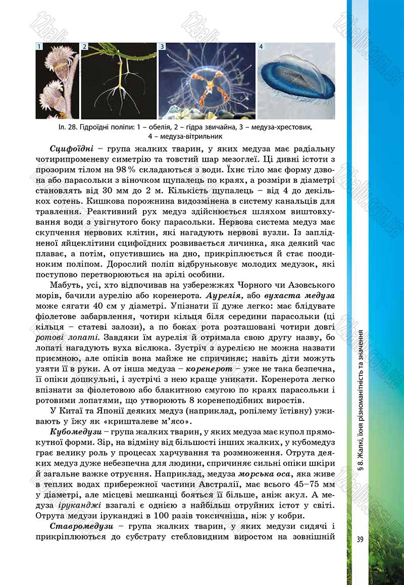 Сторінка 39 - Підручник Біологія 7 клас В.І. Соболь 2015