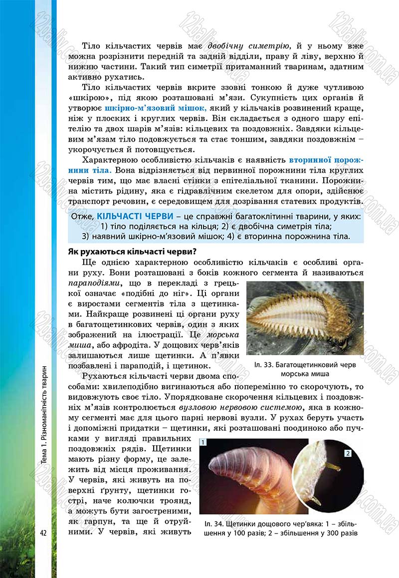 Сторінка 42 - Підручник Біологія 7 клас В.І. Соболь 2015