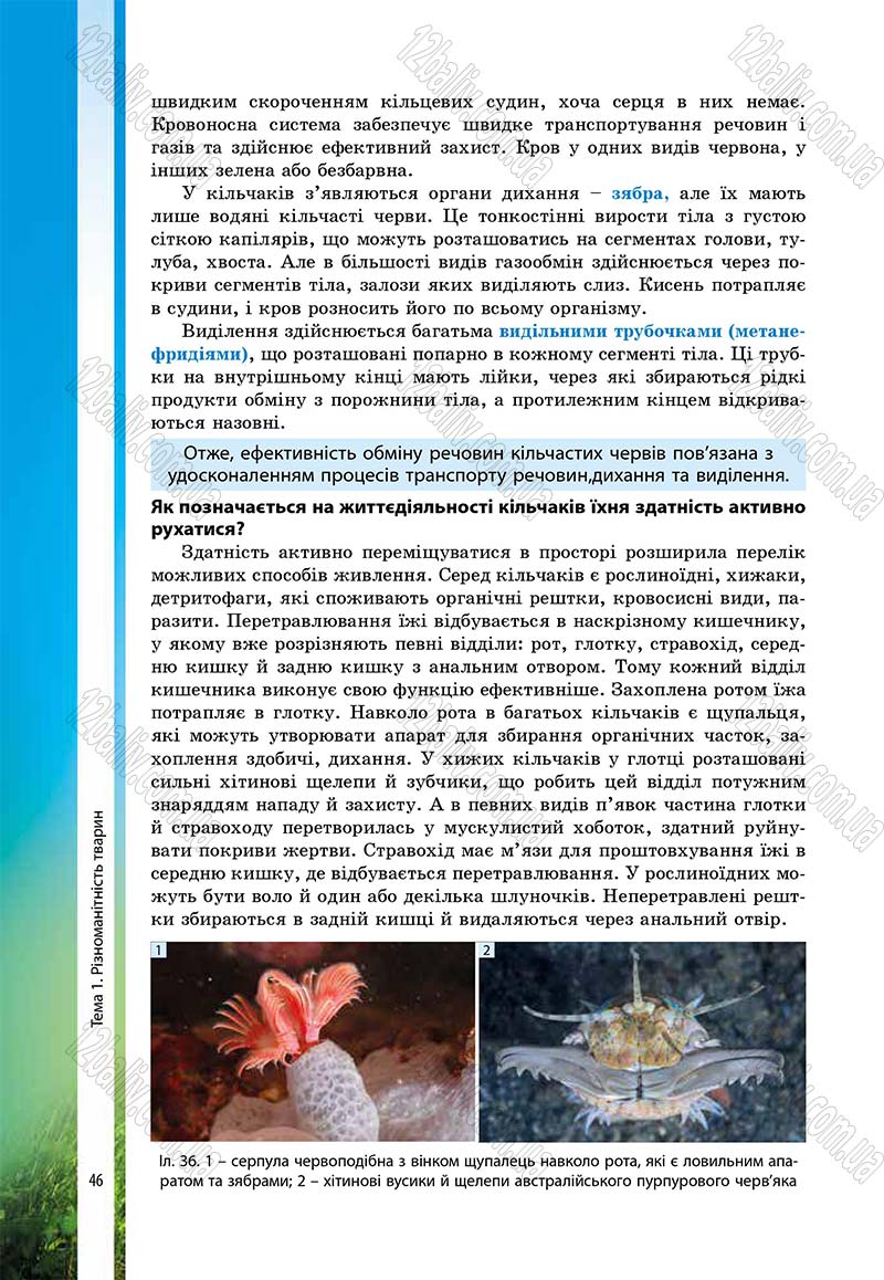 Сторінка 46 - Підручник Біологія 7 клас В.І. Соболь 2015