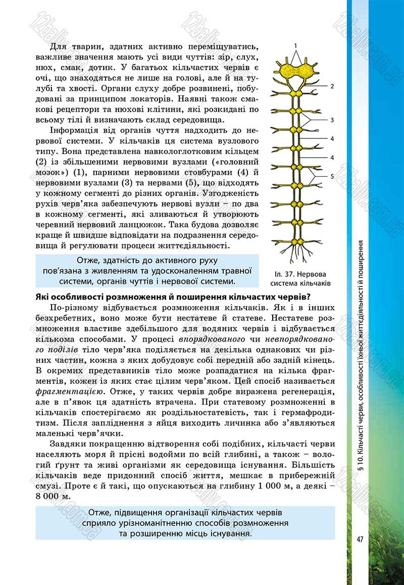 Сторінка 47 - Підручник Біологія 7 клас В.І. Соболь 2015