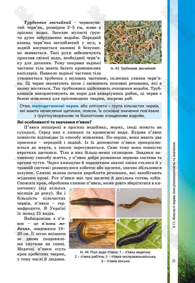 Сторінка 51 - Підручник Біологія 7 клас В.І. Соболь 2015