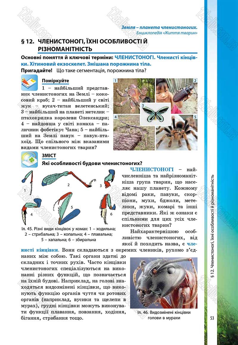 Сторінка 53 - Підручник Біологія 7 клас В.І. Соболь 2015