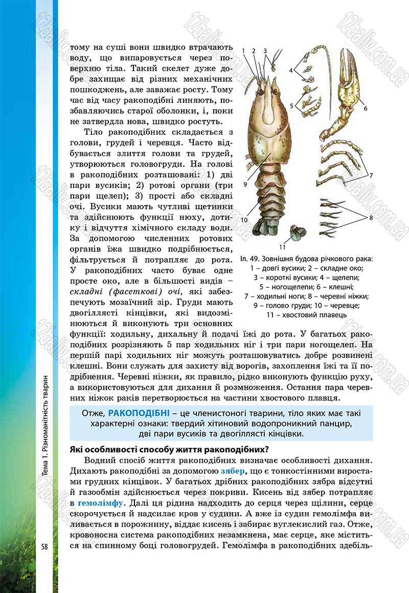 Сторінка 58 - Підручник Біологія 7 клас В.І. Соболь 2015
