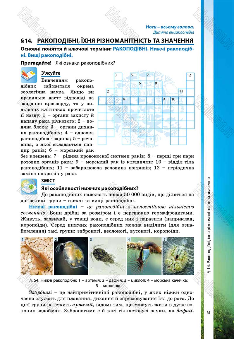 Сторінка 61 - Підручник Біологія 7 клас В.І. Соболь 2015