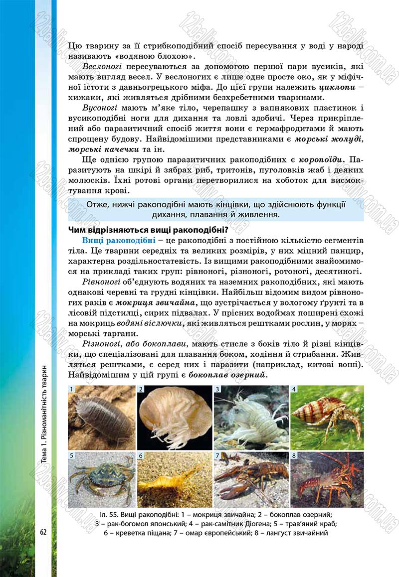 Сторінка 62 - Підручник Біологія 7 клас В.І. Соболь 2015