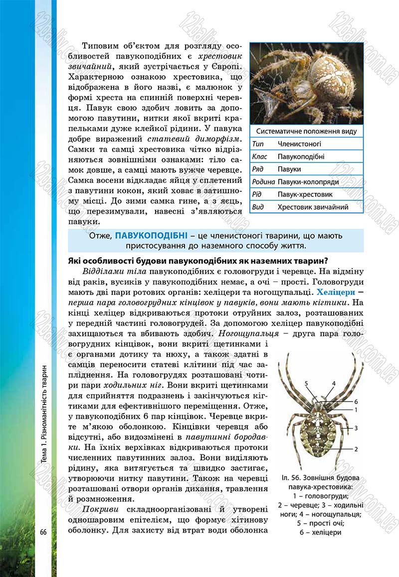Сторінка 66 - Підручник Біологія 7 клас В.І. Соболь 2015