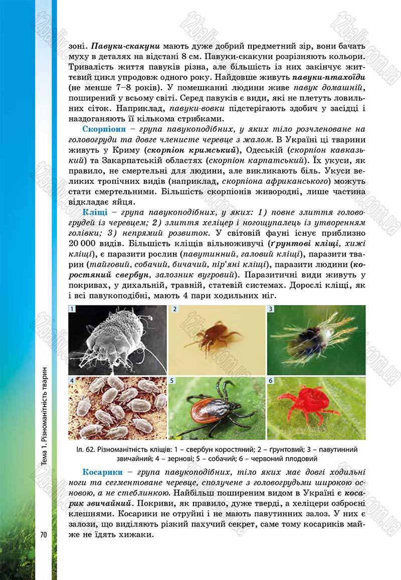 Сторінка 70 - Підручник Біологія 7 клас В.І. Соболь 2015