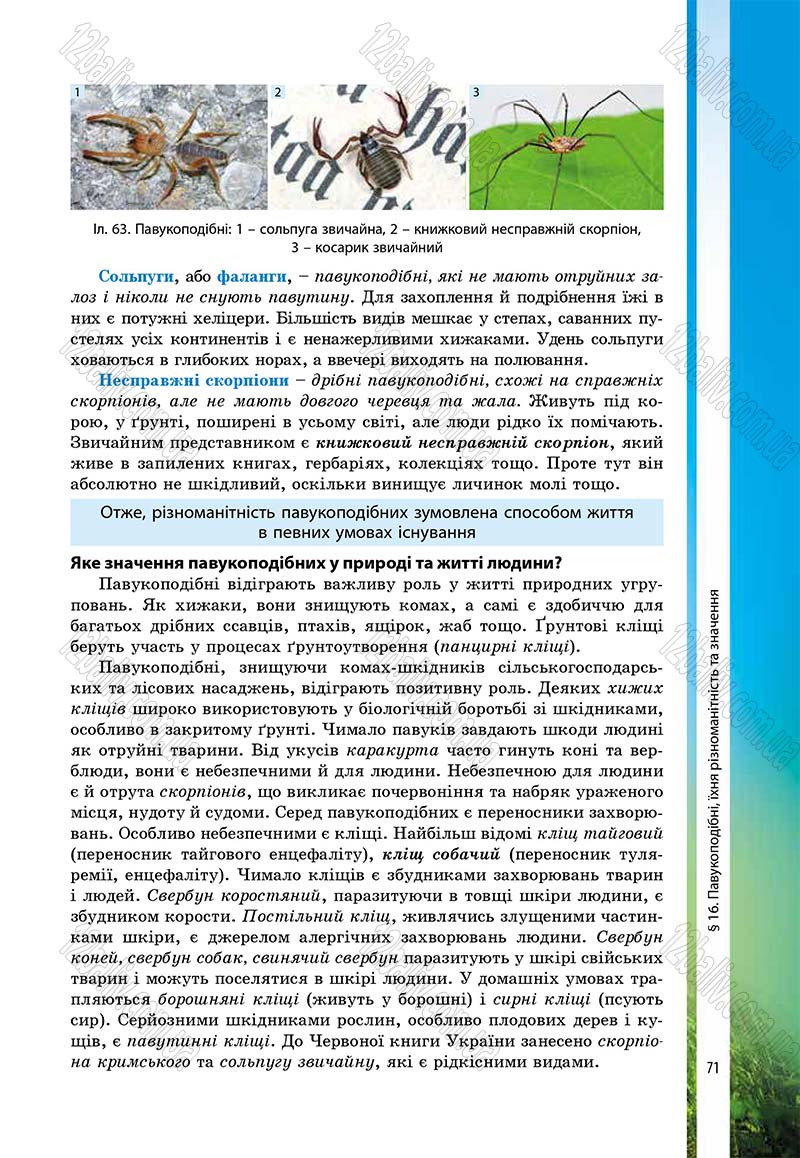 Сторінка 71 - Підручник Біологія 7 клас В.І. Соболь 2015