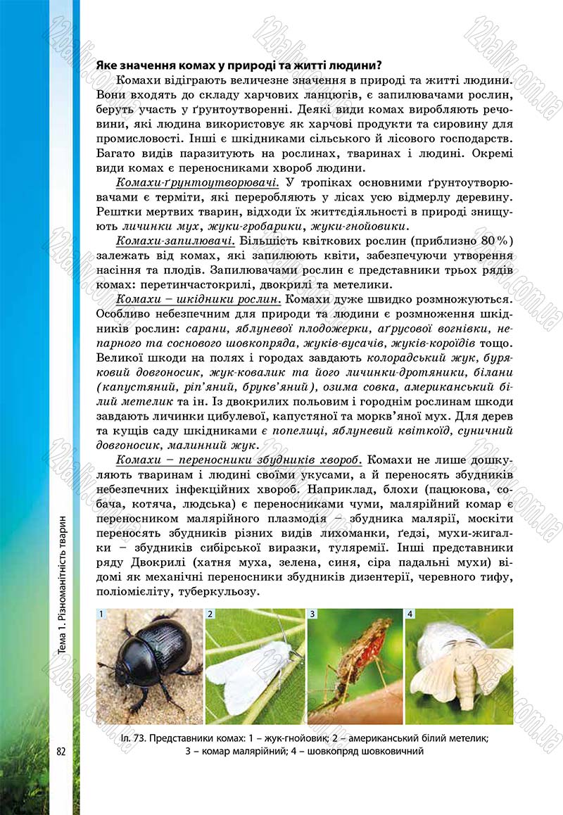 Сторінка 82 - Підручник Біологія 7 клас В.І. Соболь 2015