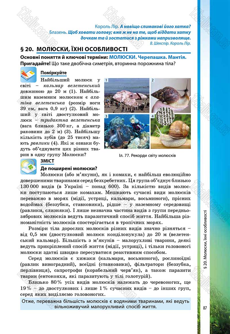 Сторінка 87 - Підручник Біологія 7 клас В.І. Соболь 2015