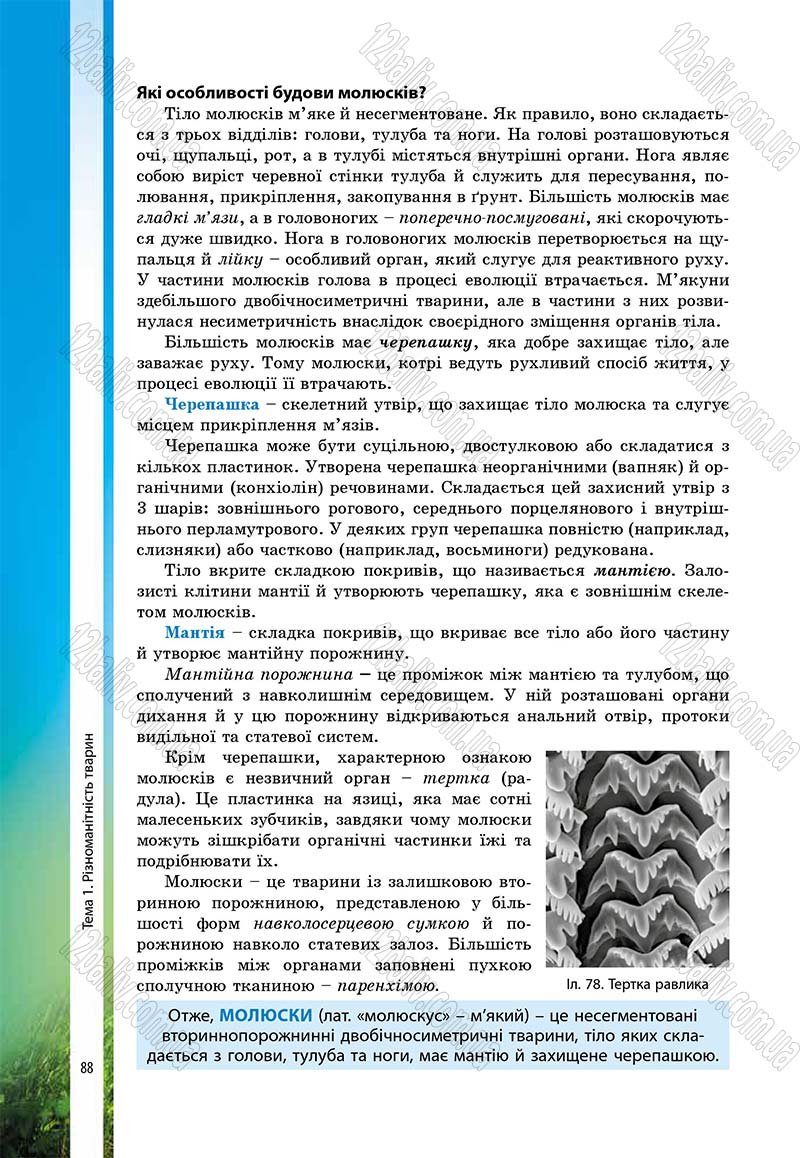 Сторінка 88 - Підручник Біологія 7 клас В.І. Соболь 2015
