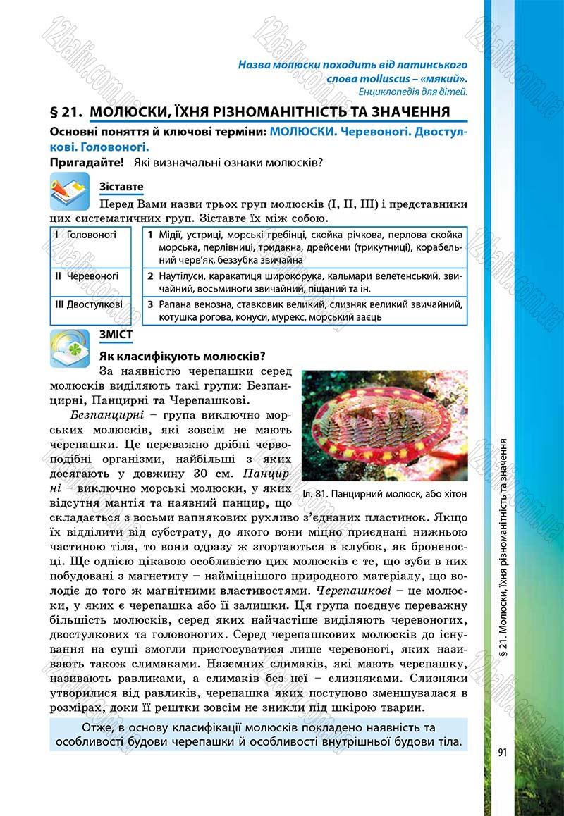 Сторінка 91 - Підручник Біологія 7 клас В.І. Соболь 2015