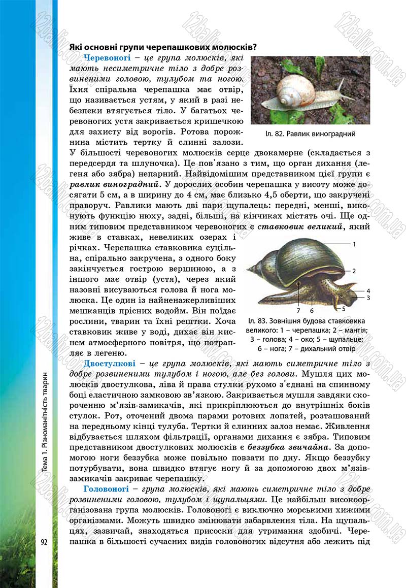 Сторінка 92 - Підручник Біологія 7 клас В.І. Соболь 2015
