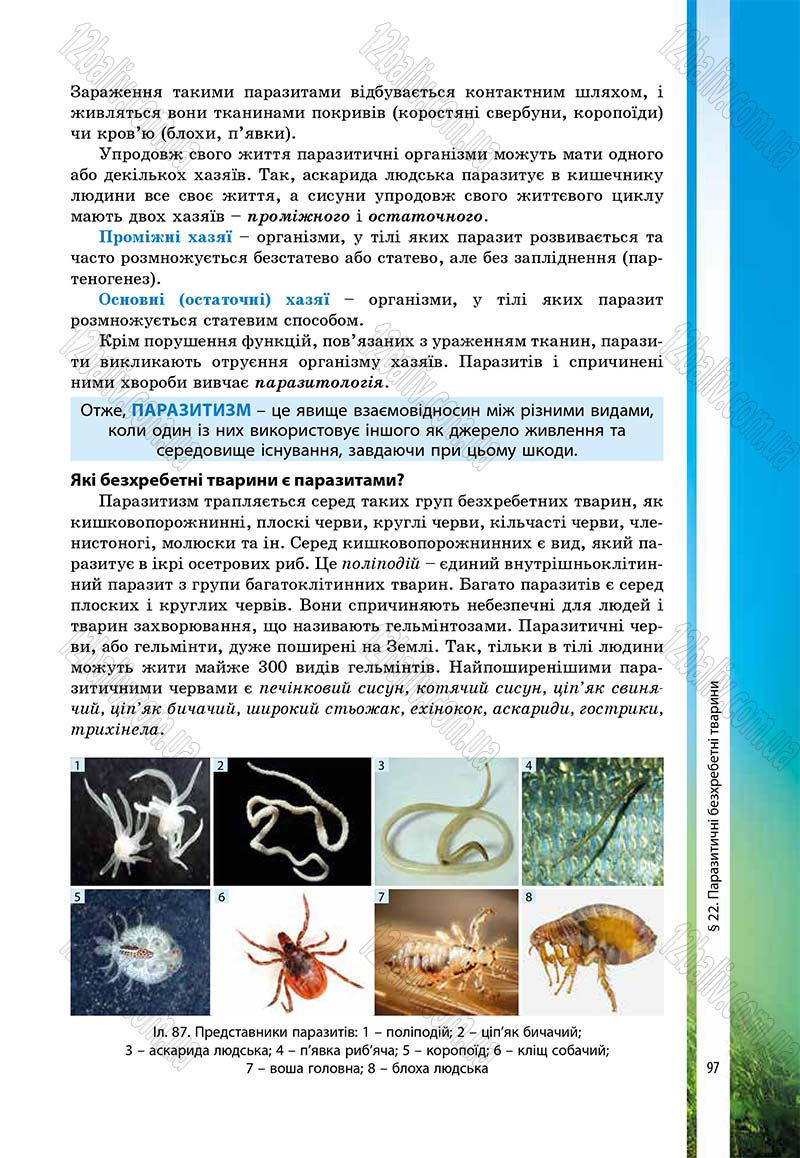 Сторінка 97 - Підручник Біологія 7 клас В.І. Соболь 2015