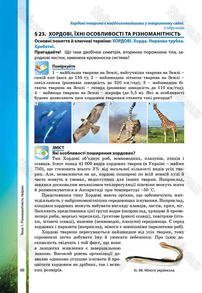 Сторінка 100 - Підручник Біологія 7 клас В.І. Соболь 2015