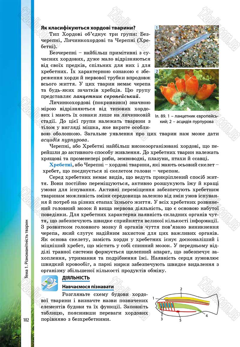 Сторінка 102 - Підручник Біологія 7 клас В.І. Соболь 2015