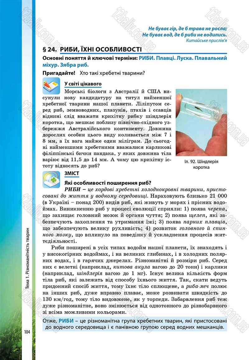 Сторінка 104 - Підручник Біологія 7 клас В.І. Соболь 2015
