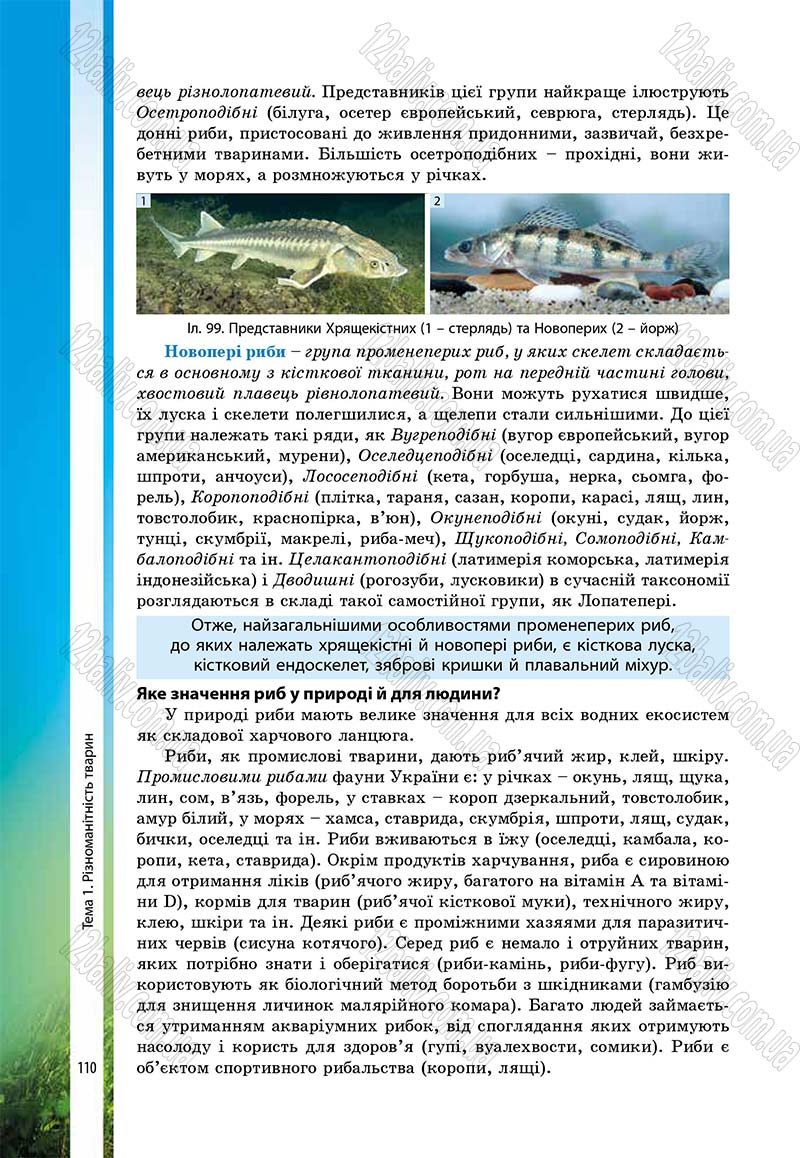 Сторінка 110 - Підручник Біологія 7 клас В.І. Соболь 2015