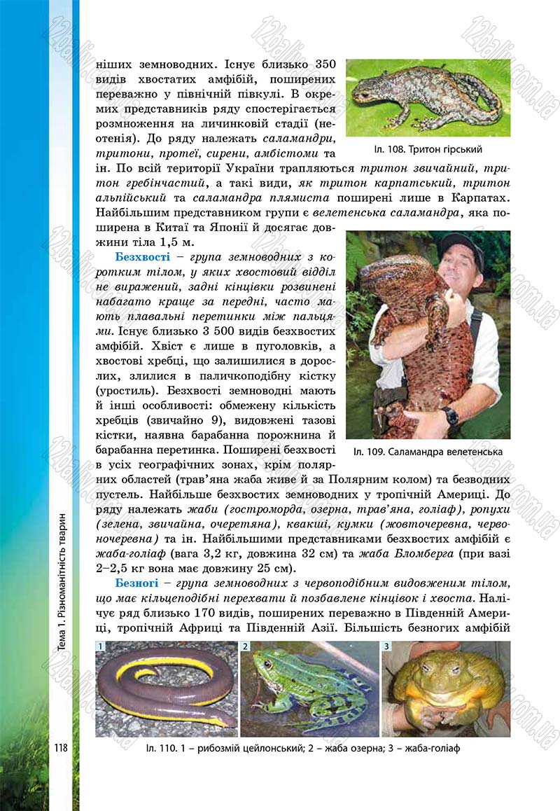 Сторінка 118 - Підручник Біологія 7 клас В.І. Соболь 2015
