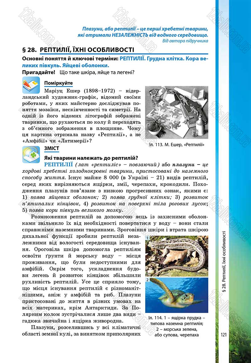Сторінка 121 - Підручник Біологія 7 клас В.І. Соболь 2015
