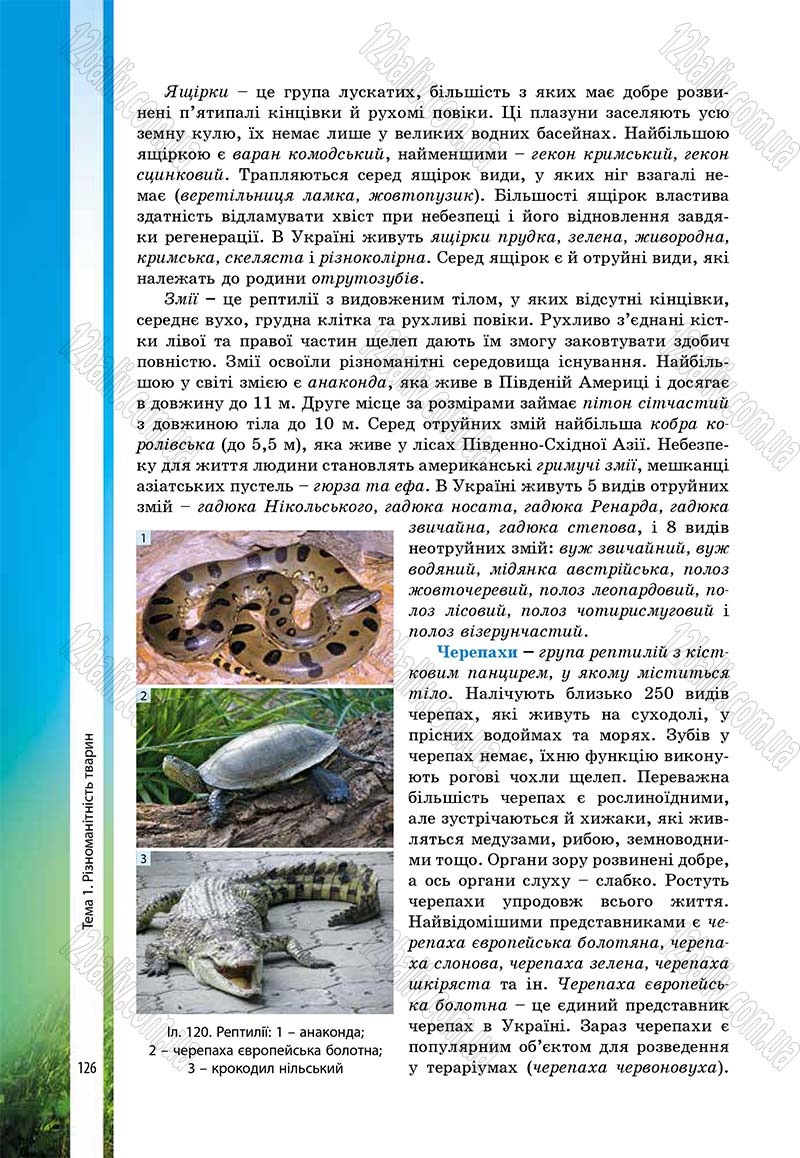 Сторінка 126 - Підручник Біологія 7 клас В.І. Соболь 2015