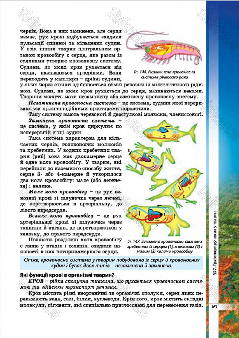 Сторінка 163 - Підручник Біологія 7 клас В.І. Соболь 2015