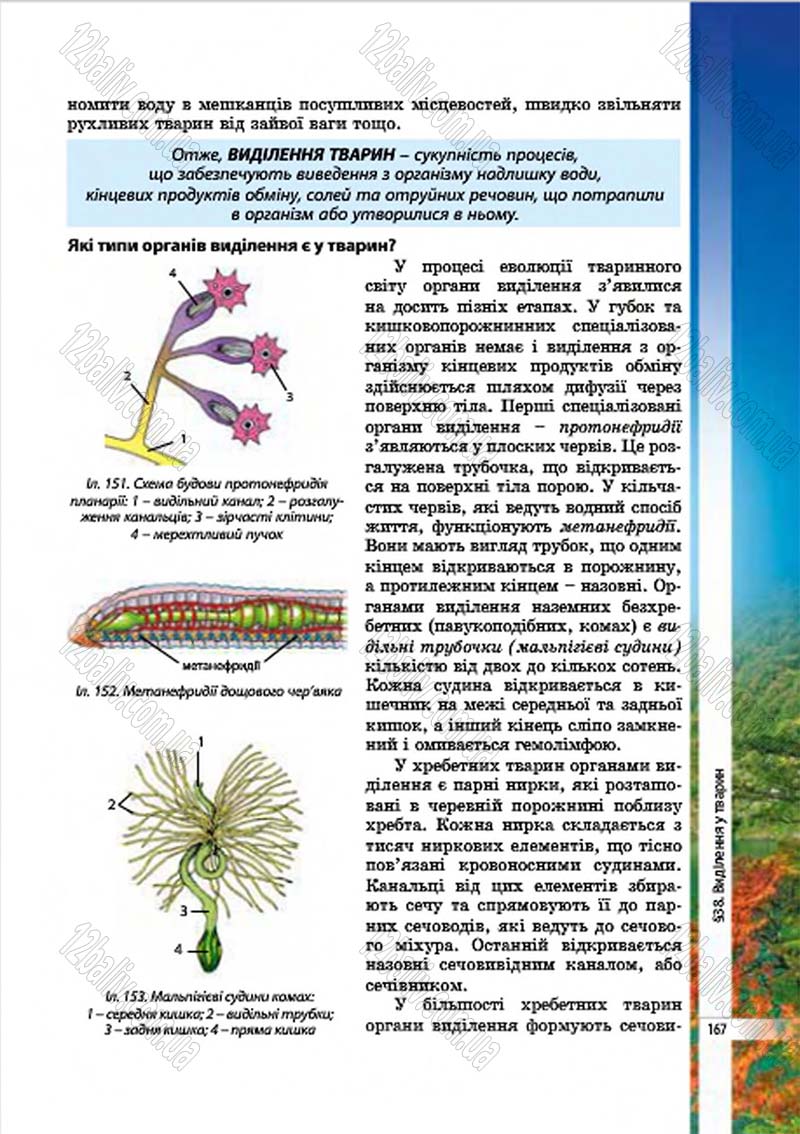 Сторінка 167 - Підручник Біологія 7 клас В.І. Соболь 2015