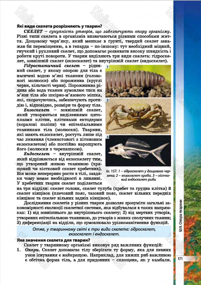 Сторінка 171 - Підручник Біологія 7 клас В.І. Соболь 2015