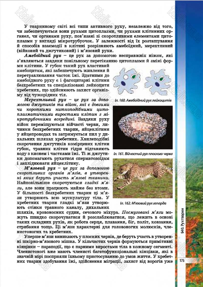 Сторінка 175 - Підручник Біологія 7 клас В.І. Соболь 2015