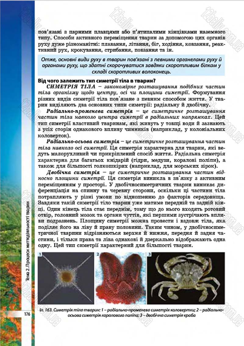Сторінка 176 - Підручник Біологія 7 клас В.І. Соболь 2015
