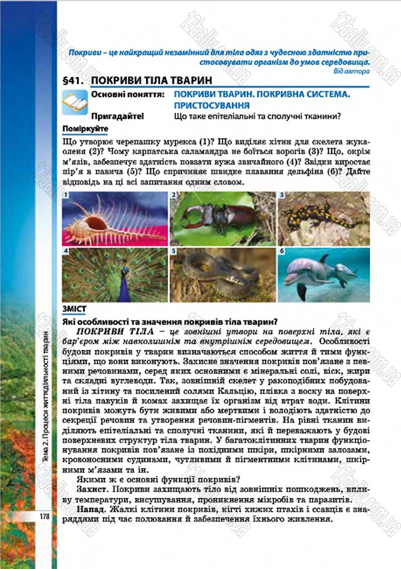 Сторінка 178 - Підручник Біологія 7 клас В.І. Соболь 2015