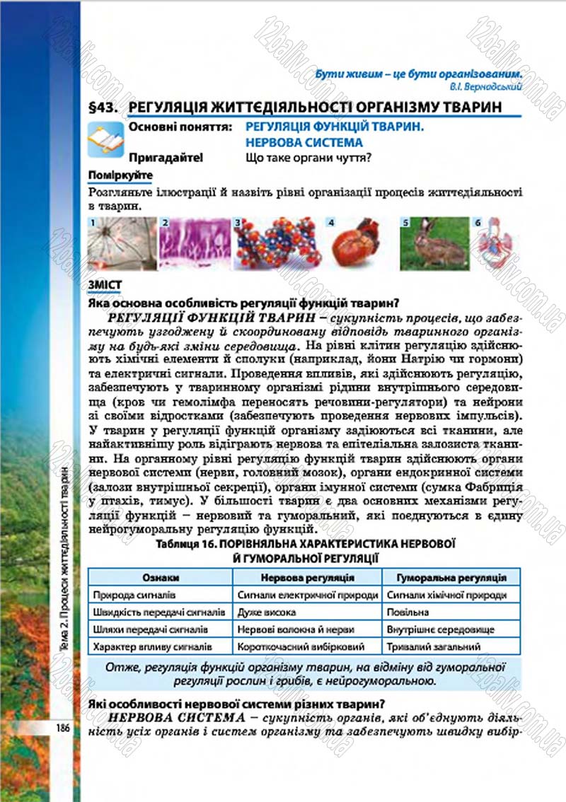 Сторінка 186 - Підручник Біологія 7 клас В.І. Соболь 2015