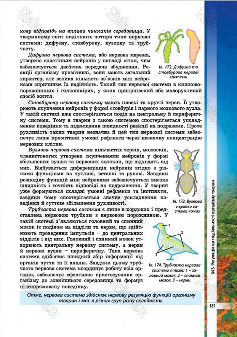Сторінка 187 - Підручник Біологія 7 клас В.І. Соболь 2015